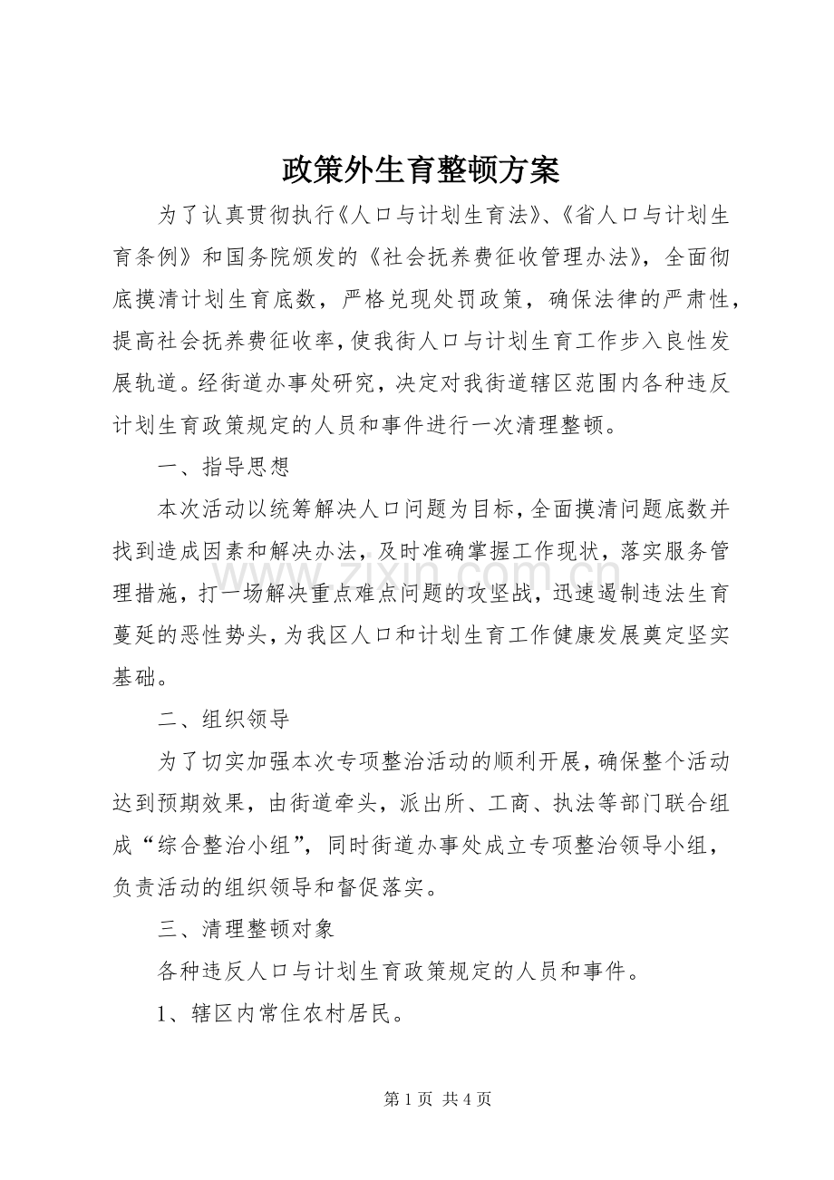 政策外生育整顿实施方案.docx_第1页