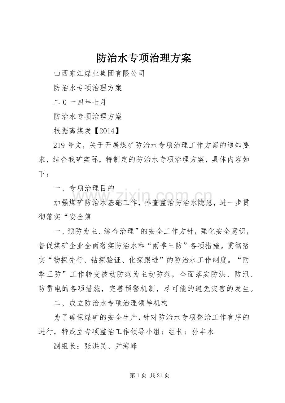 防治水专项治理实施方案 .docx_第1页