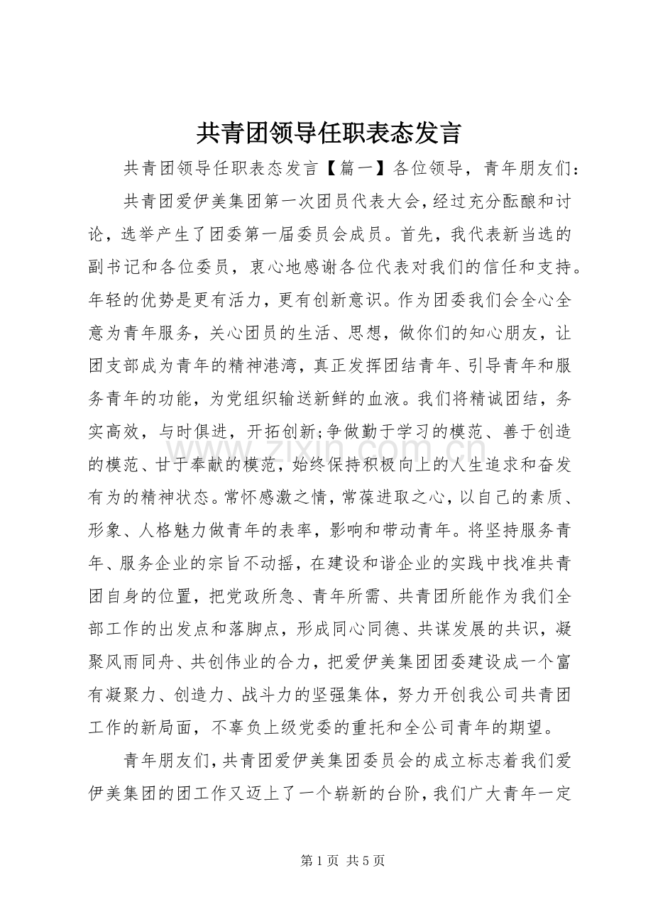 共青团领导任职表态发言.docx_第1页