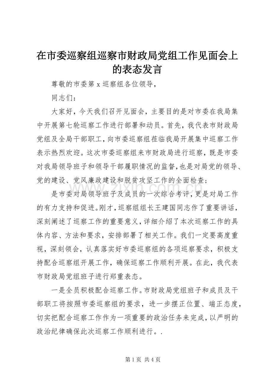 在市委巡察组巡察市财政局党组工作见面会上的表态发言稿.docx_第1页