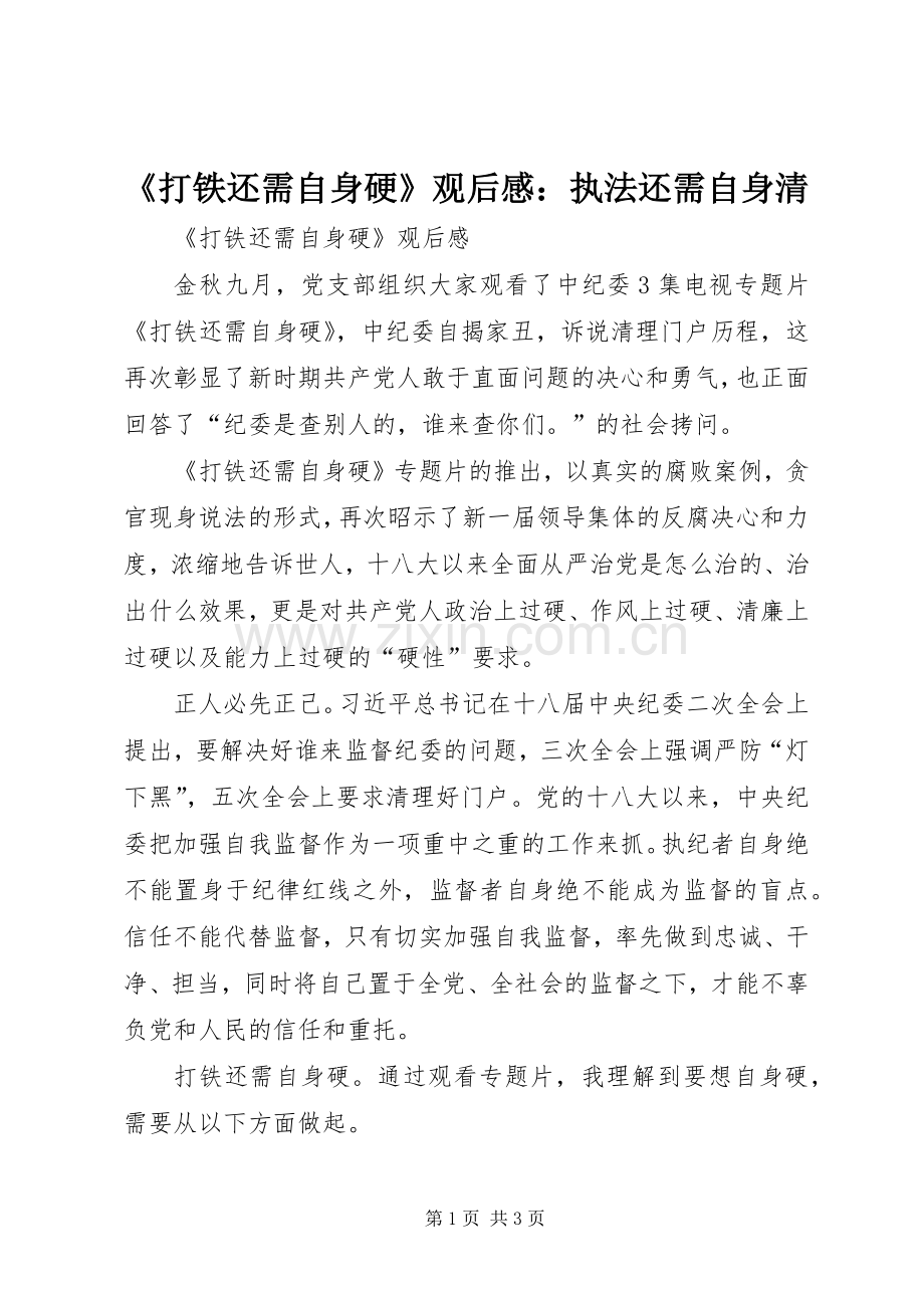 《打铁还需自身硬》观后感：执法还需自身清 .docx_第1页