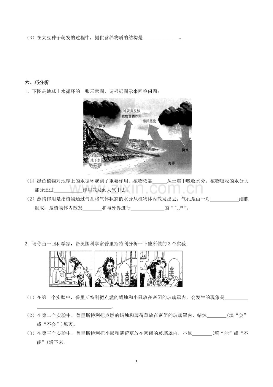 主题4生物圈中的绿色植物(2).doc_第3页