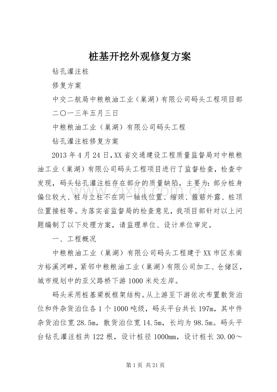 桩基开挖外观修复实施方案.docx_第1页