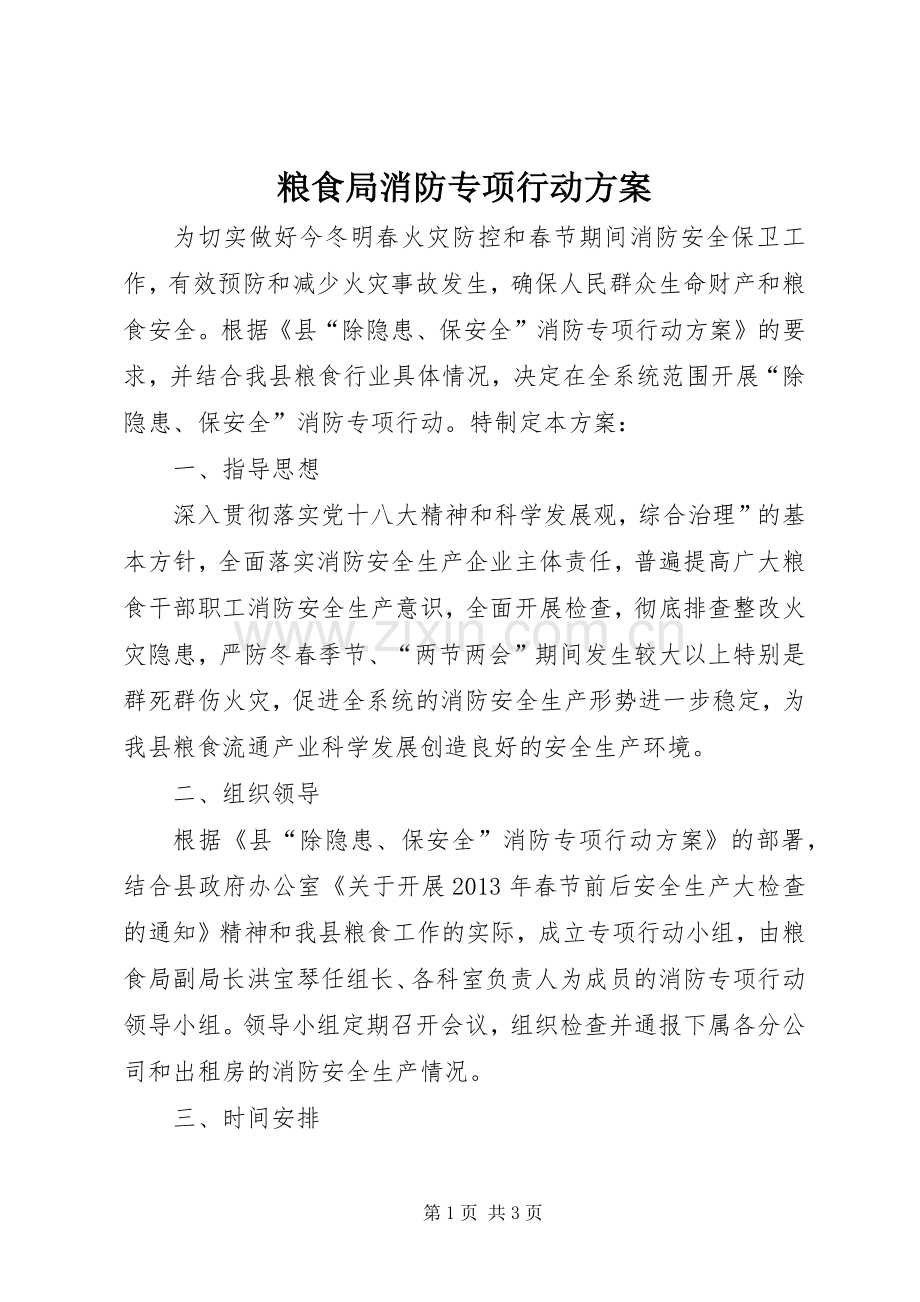 粮食局消防专项行动实施方案.docx_第1页