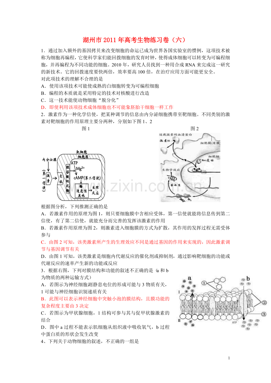 浙江省湖州市2011届高三生物练习卷之六浙科版.doc_第1页