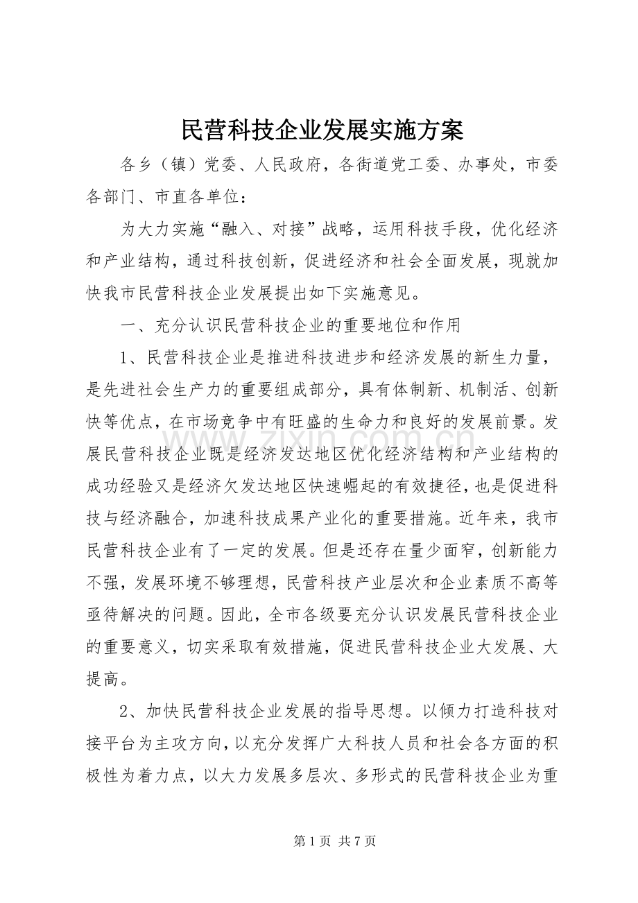 民营科技企业发展方案.docx_第1页