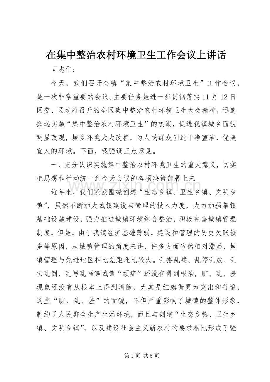 在集中整治农村环境卫生工作会议上讲话.docx_第1页