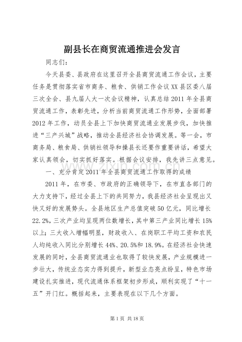 副县长在商贸流通推进会发言稿.docx_第1页