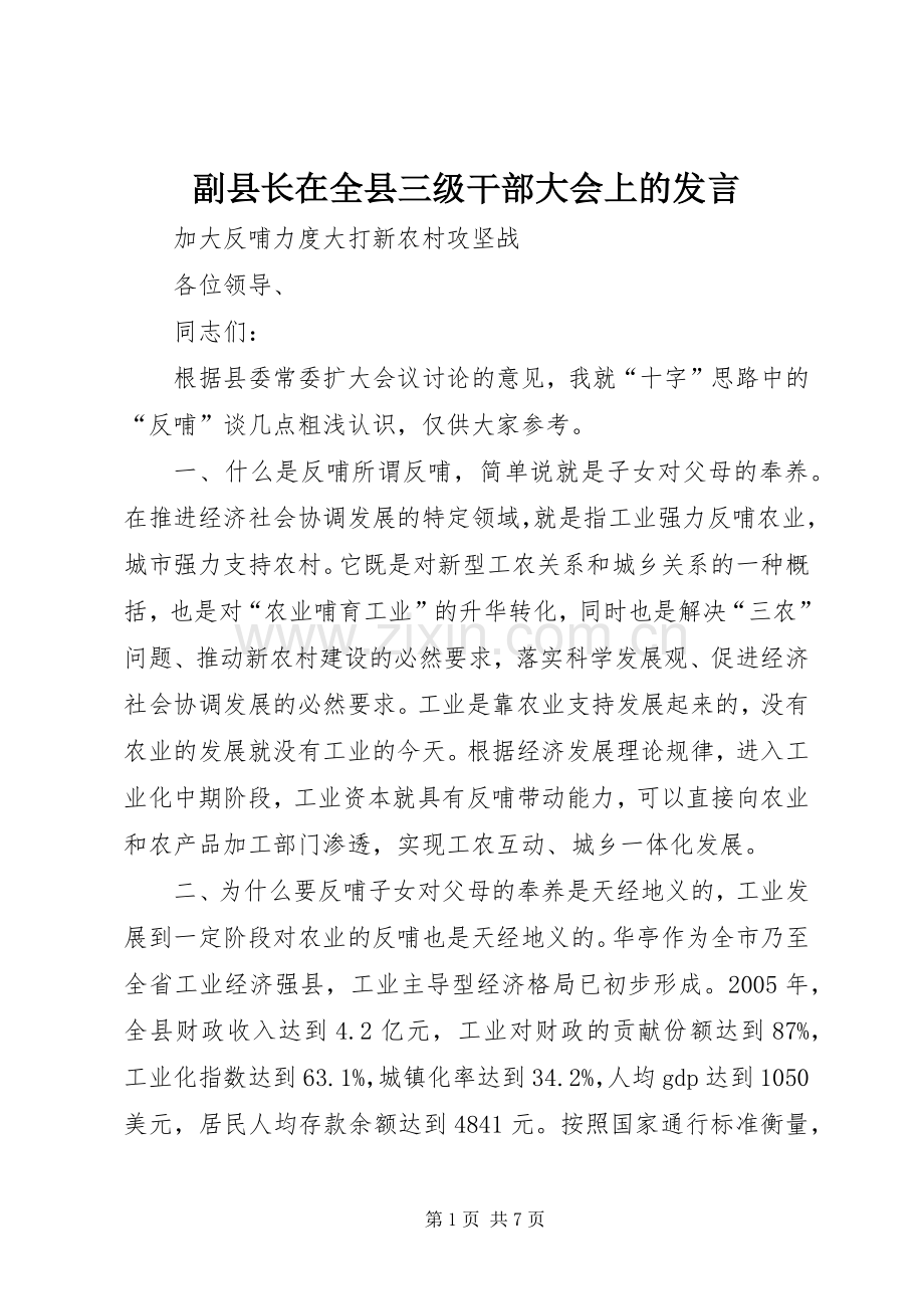 副县长在全县三级干部大会上的发言稿.docx_第1页