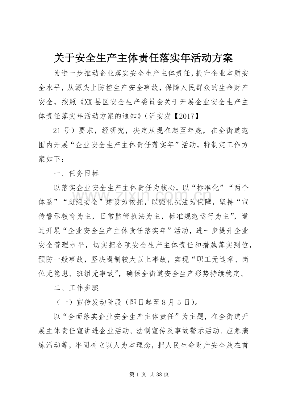 关于安全生产主体责任落实年活动实施方案.docx_第1页