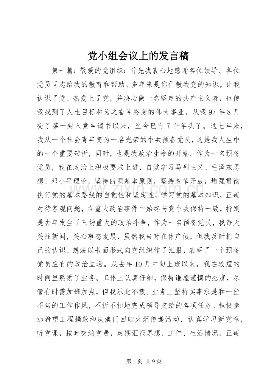 党小组会议上的发言稿范文.docx_第1页