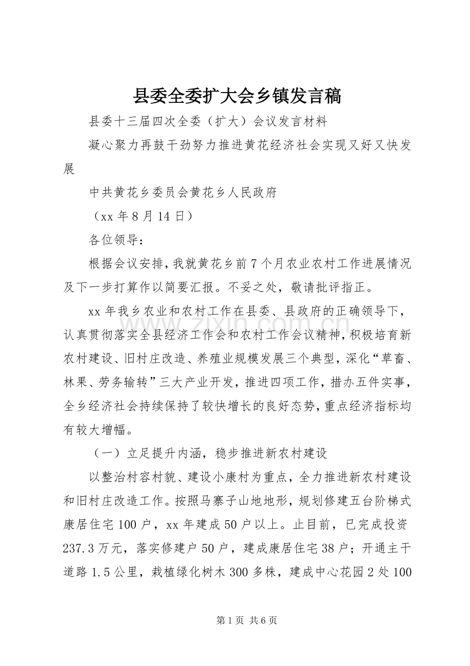 县委全委扩大会乡镇发言.docx_第1页