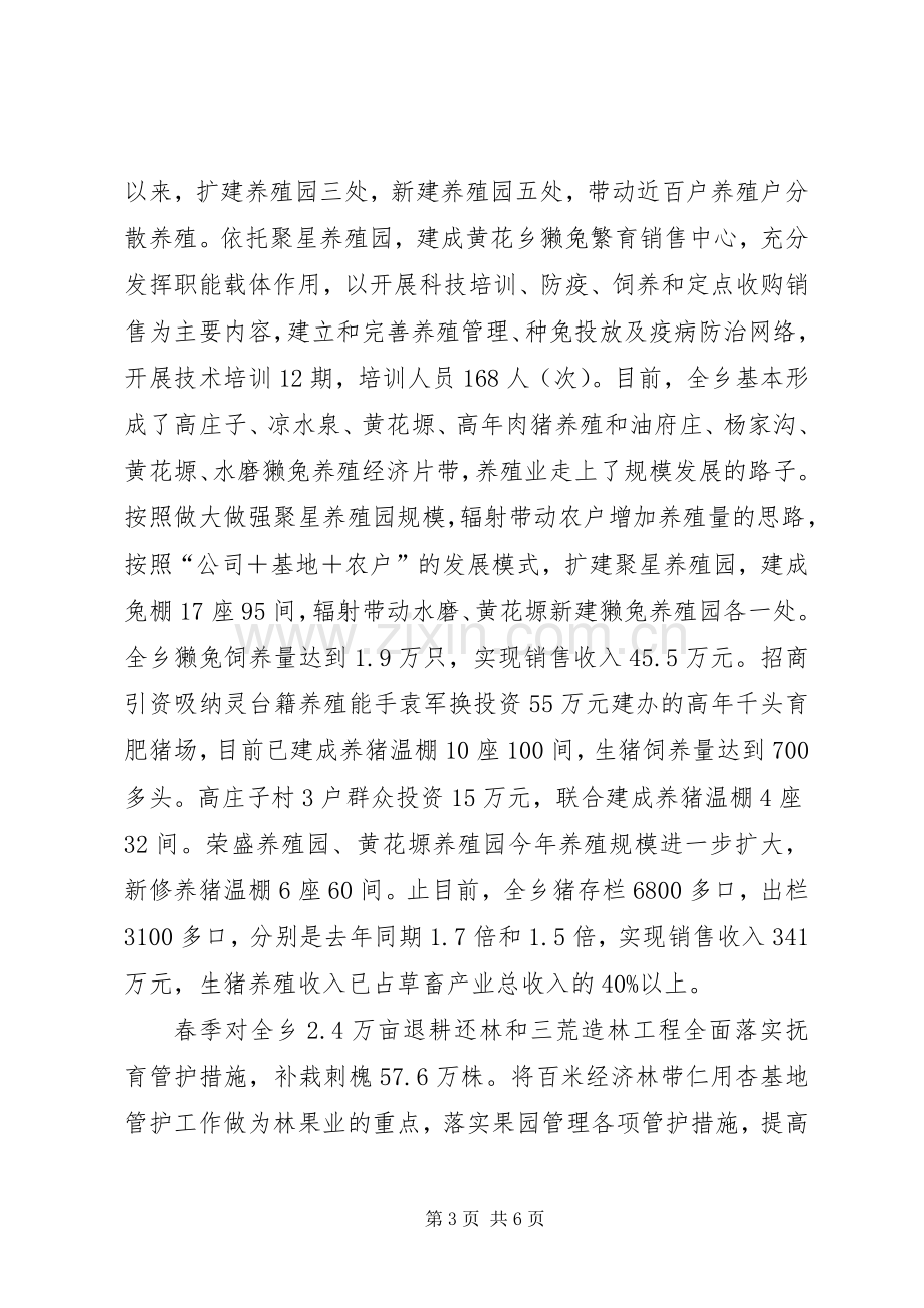 县委全委扩大会乡镇发言.docx_第3页