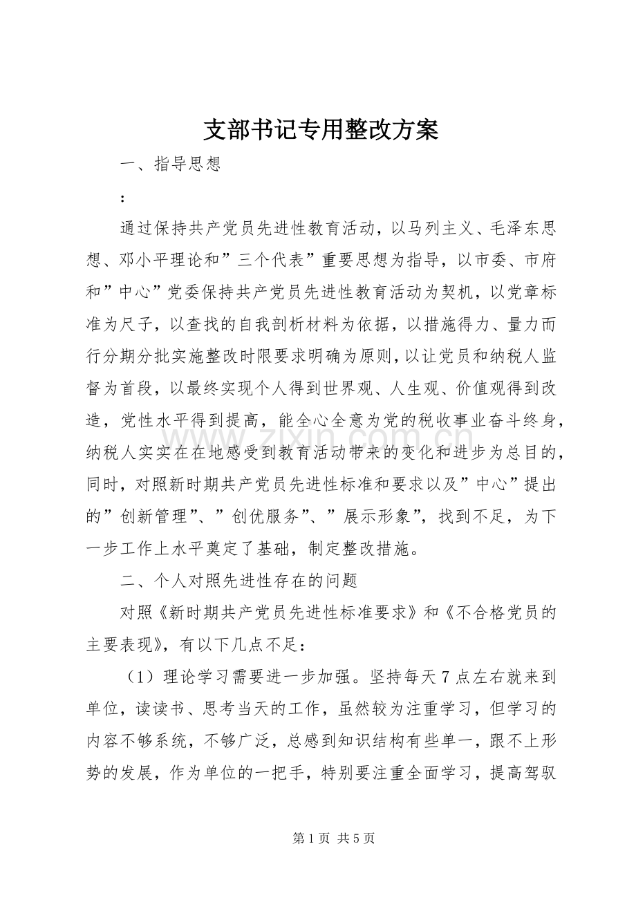 支部书记专用整改实施方案.docx_第1页