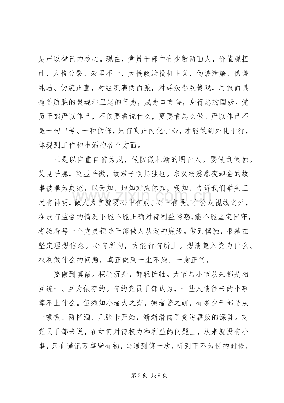 在严以律己研讨会上的发言稿.docx_第3页