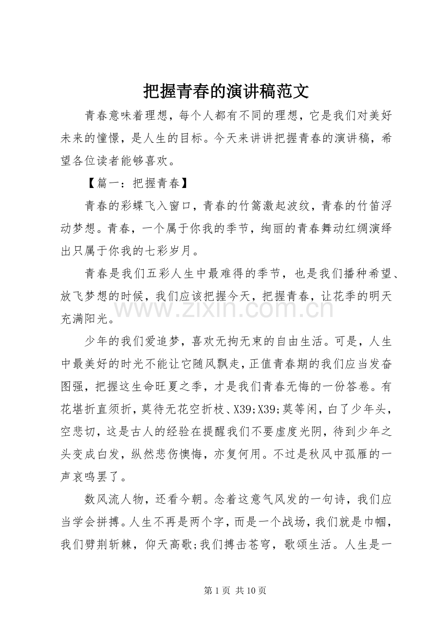 把握青春的演讲稿范文.docx_第1页