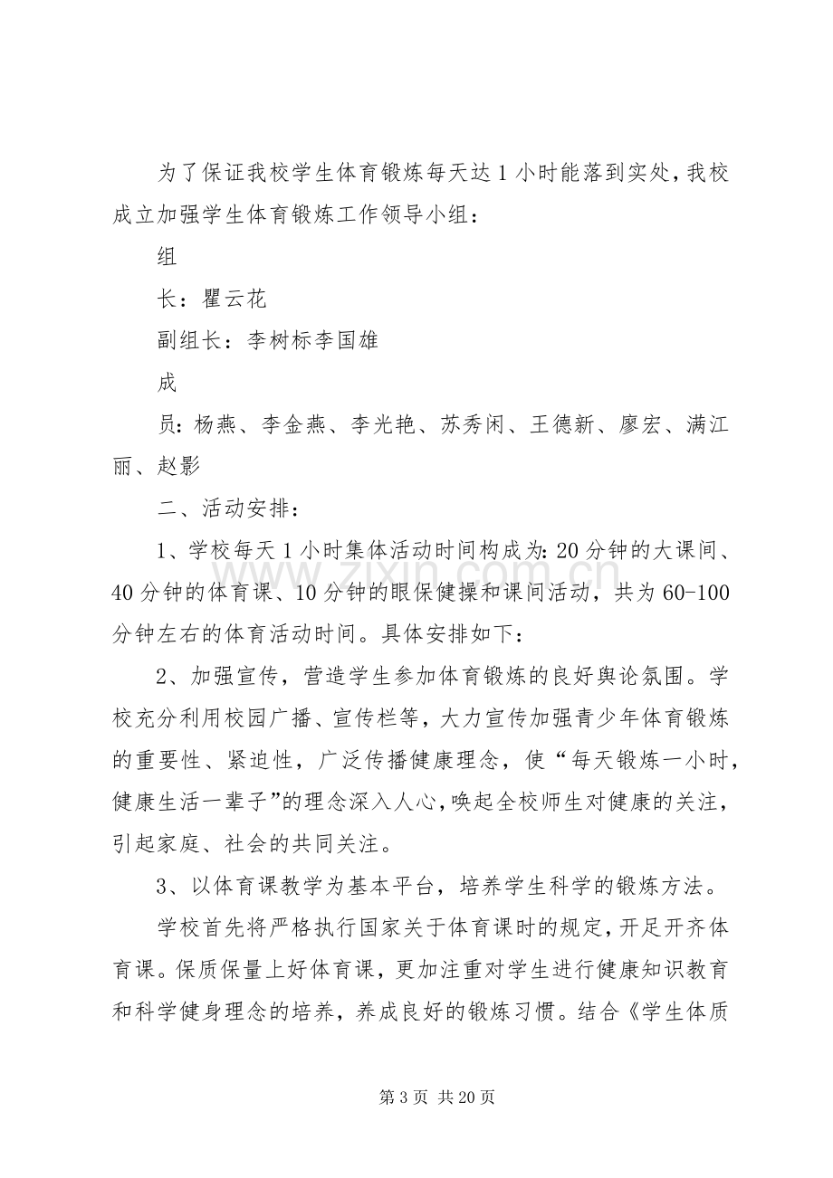 洪狮小学每天一小时体育锻炼活动实施方案.docx_第3页