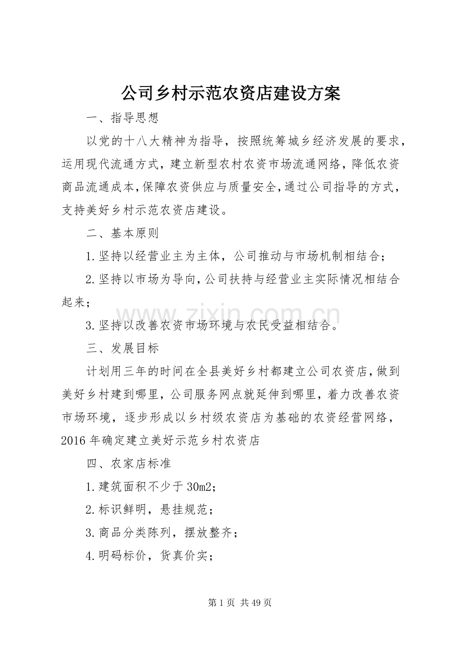 公司乡村示范农资店建设实施方案.docx_第1页