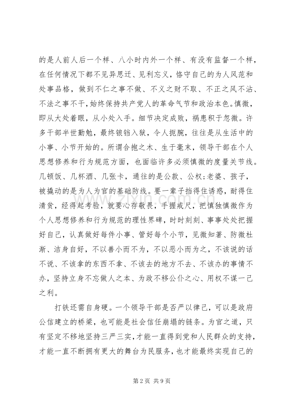 严以律己发言.docx_第2页