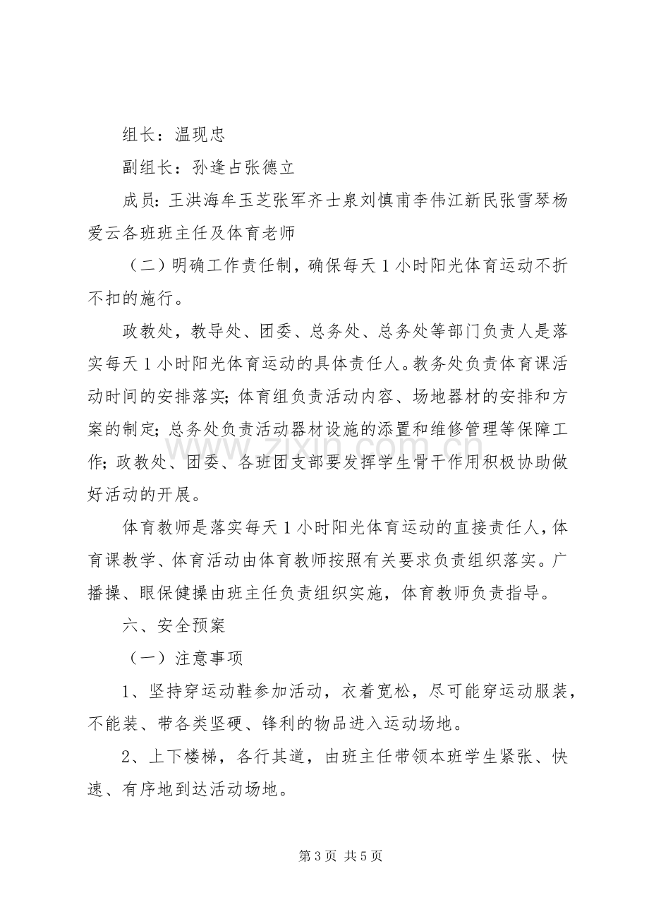 每天一小时校园体育活动方案.docx_第3页