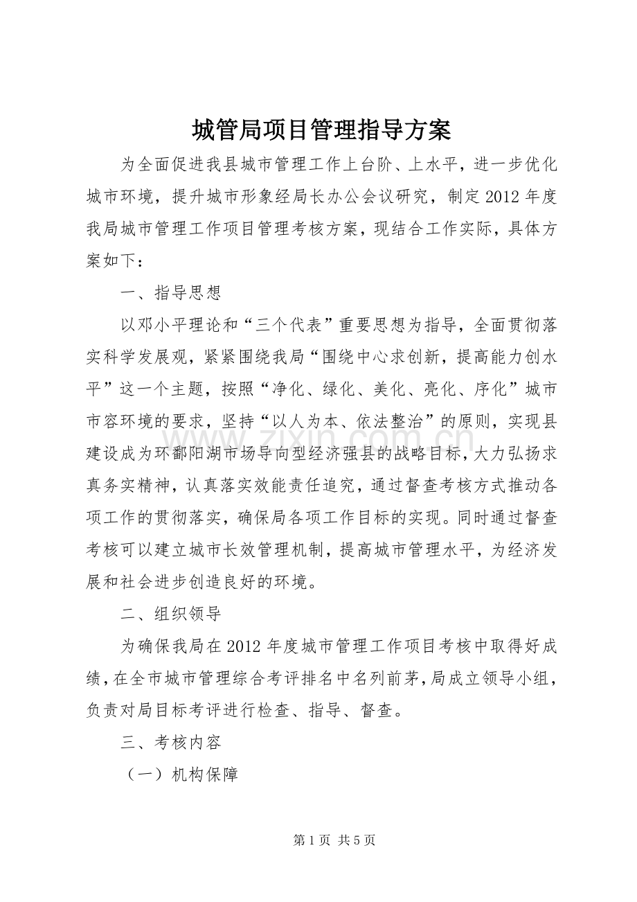 城管局项目管理指导实施方案.docx_第1页