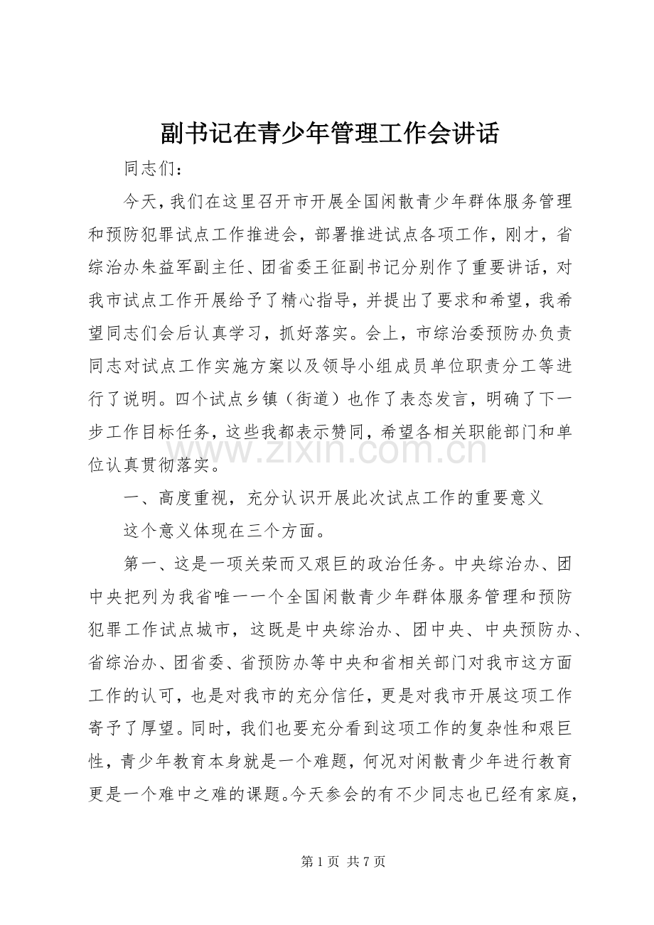 副书记在青少年管理工作会讲话.docx_第1页