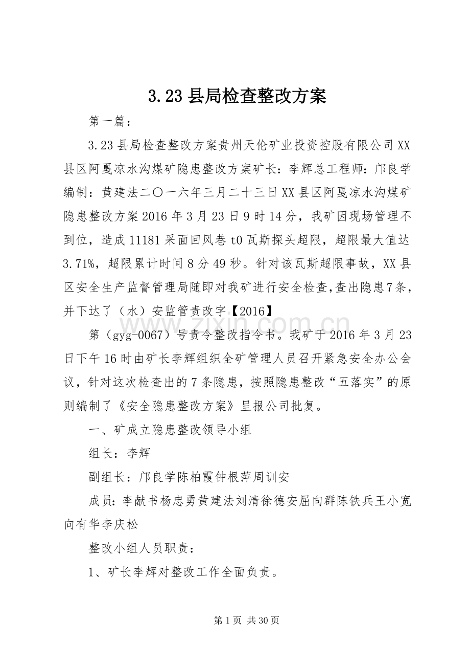 县局检查整改实施方案.docx_第1页