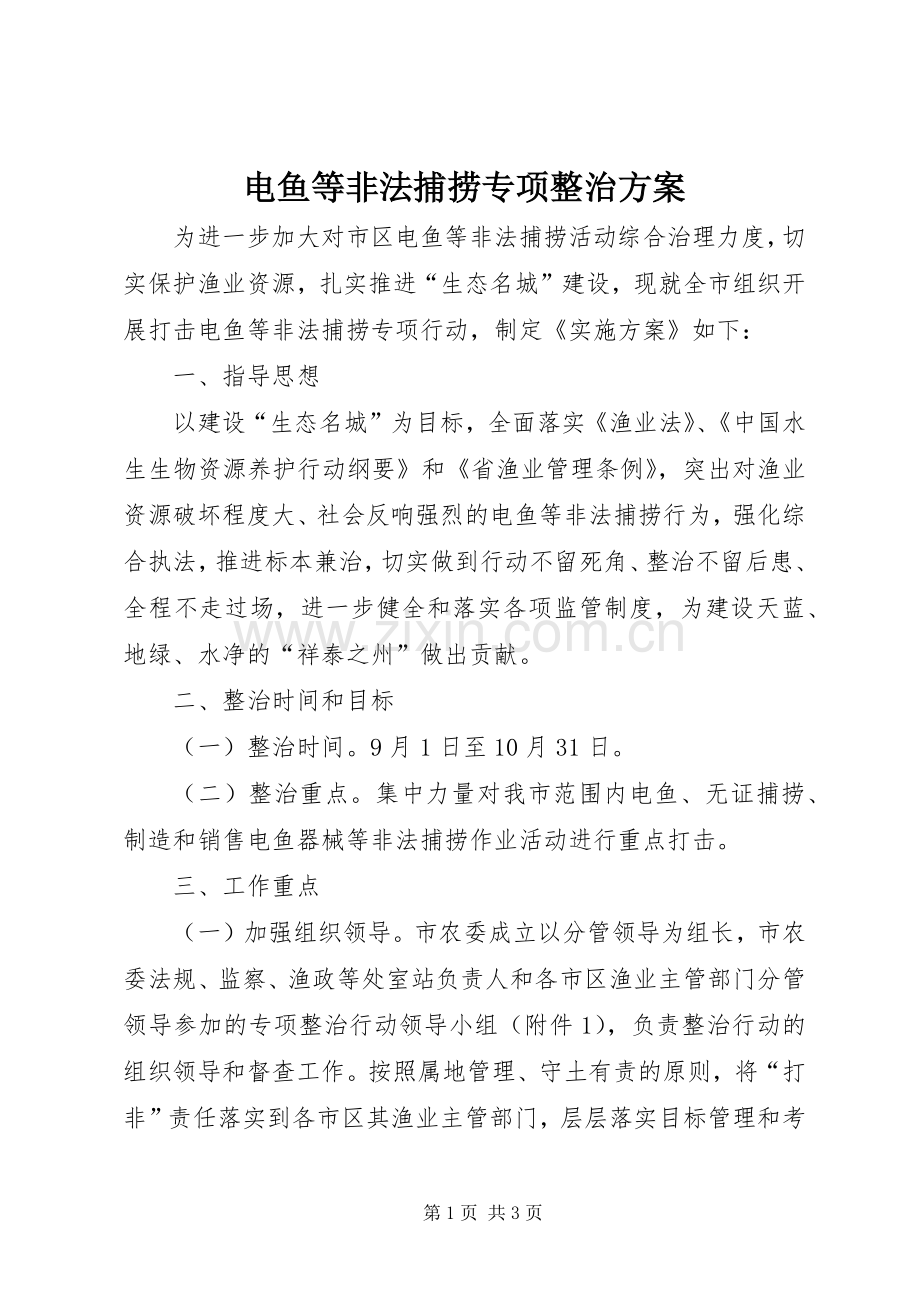 电鱼等非法捕捞专项整治实施方案.docx_第1页