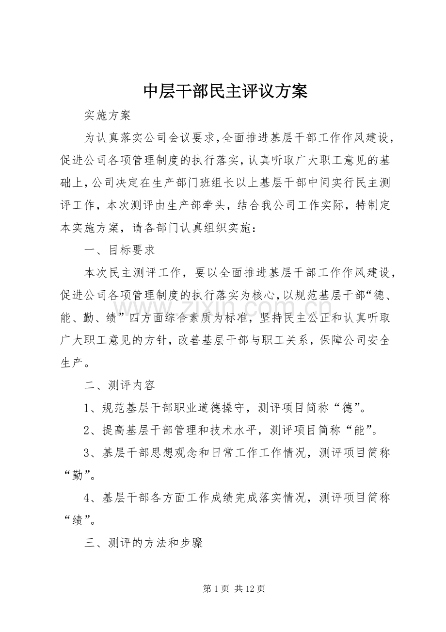 中层干部民主评议实施方案.docx_第1页