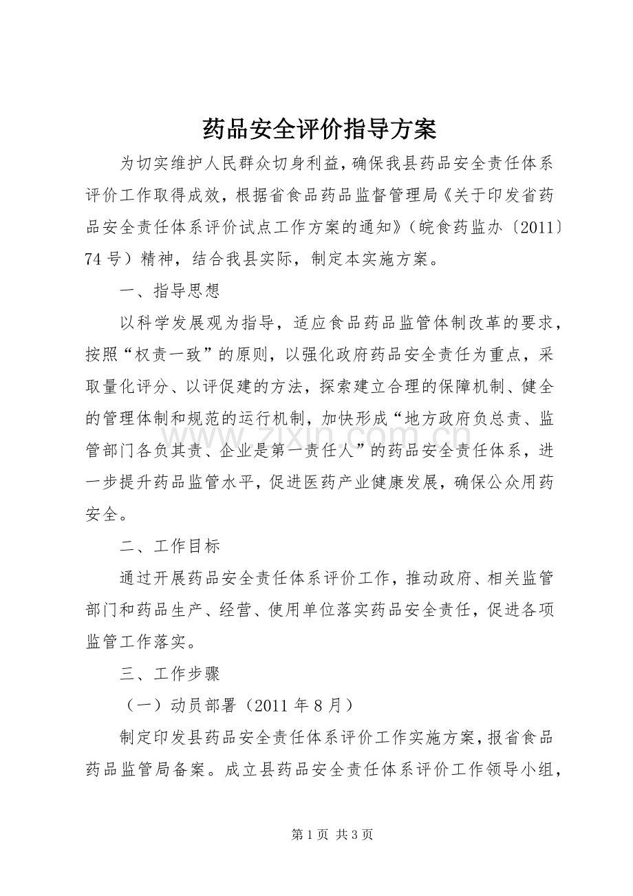 药品安全评价指导实施方案.docx_第1页