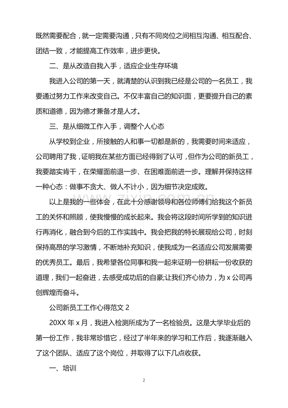 2022年公司新员工工作心得.doc_第2页