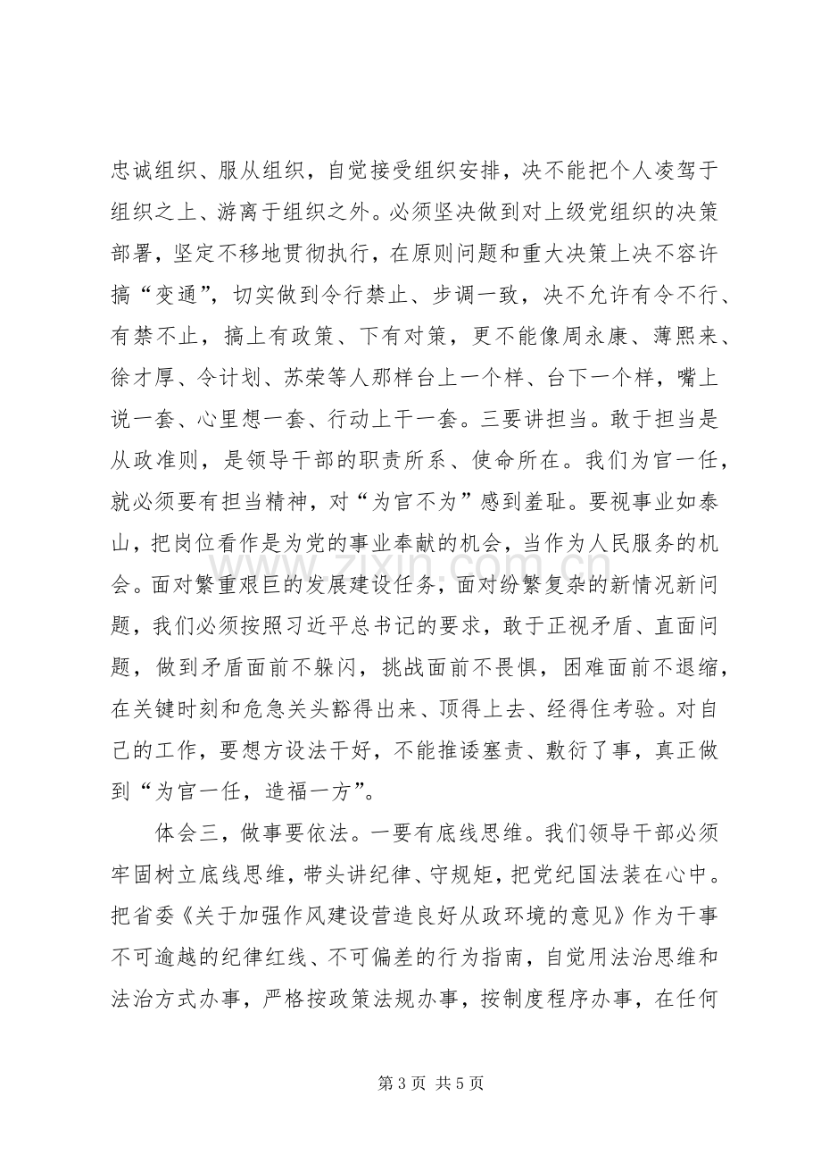 新上XX县区委书记严以律己严守政治纪律研讨发言.docx_第3页