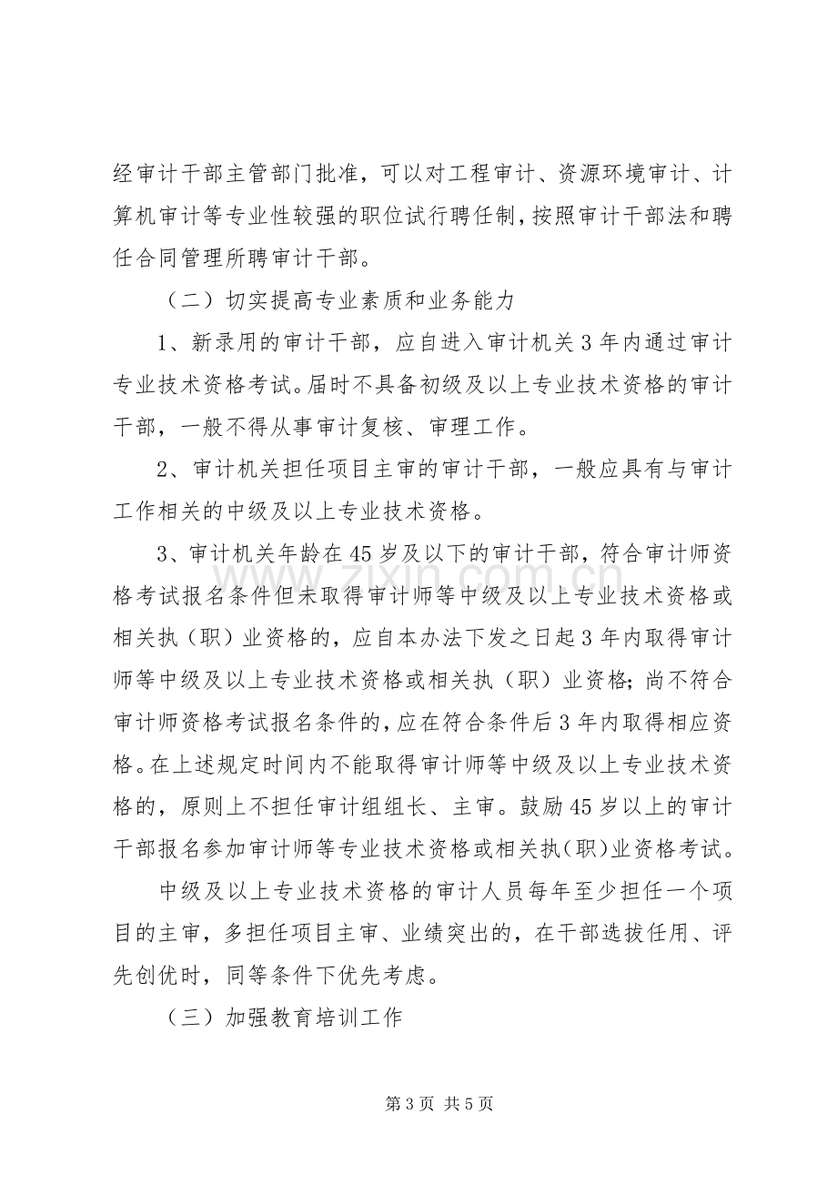 区审计员专业化建设实施方案.docx_第3页