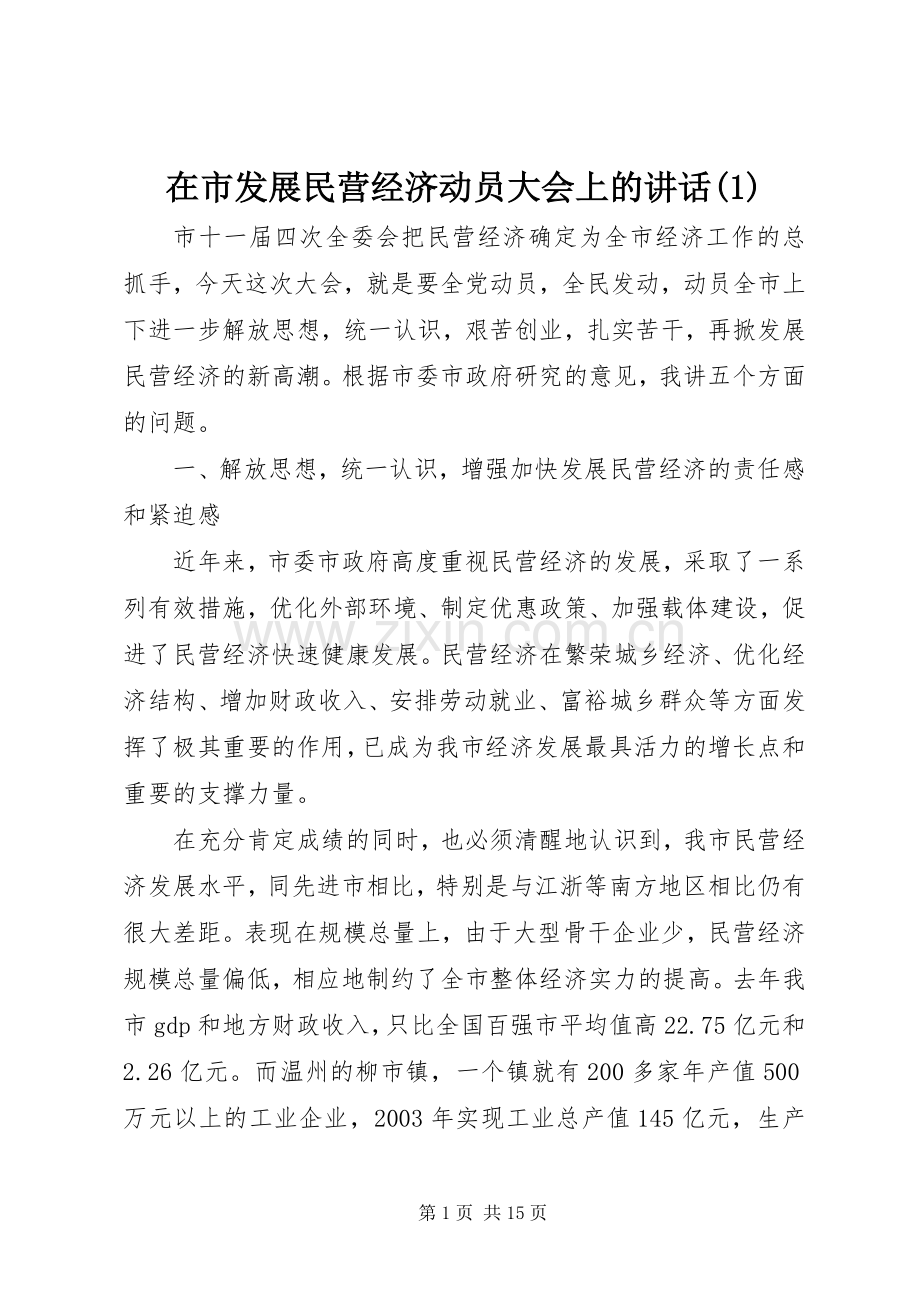 在市发展民营经济动员大会上的讲话(1).docx_第1页