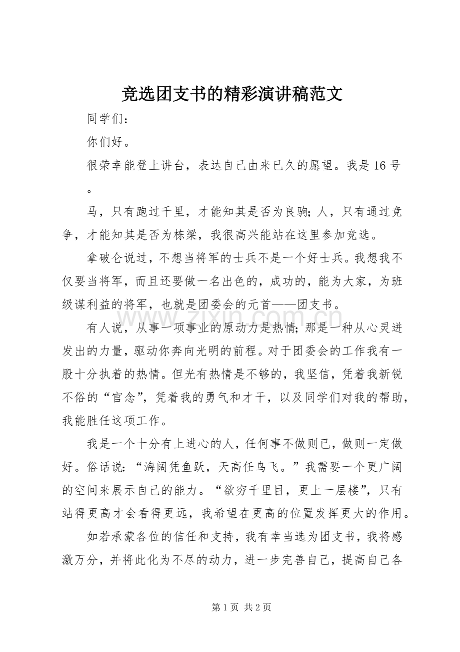 竞选团支书的精彩演讲稿范文.docx_第1页