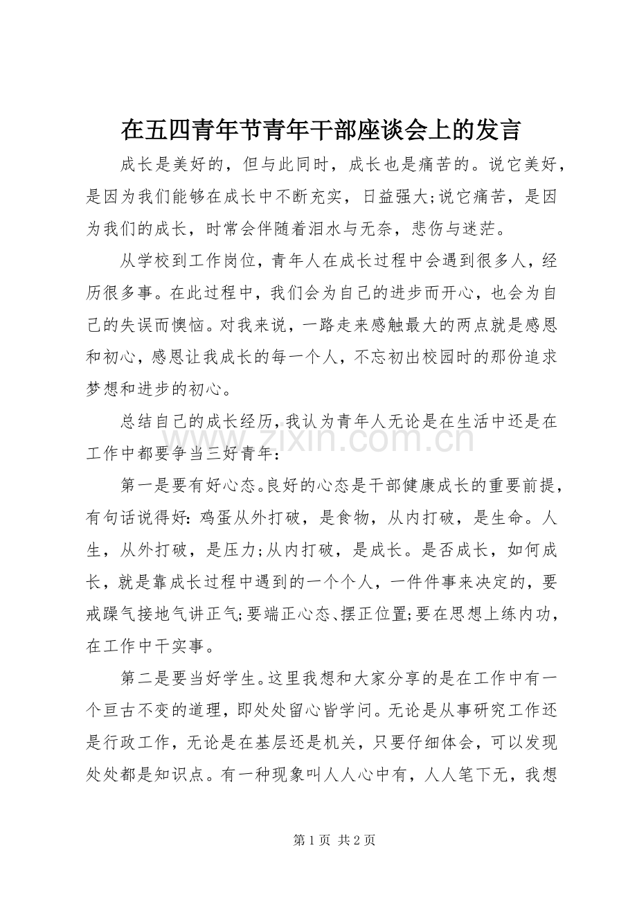 在五四青年节青年干部座谈会上的发言.docx_第1页