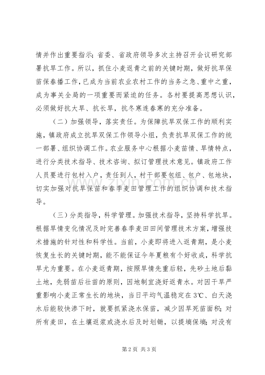 乡镇年度抗旱双保指导实施方案.docx_第2页