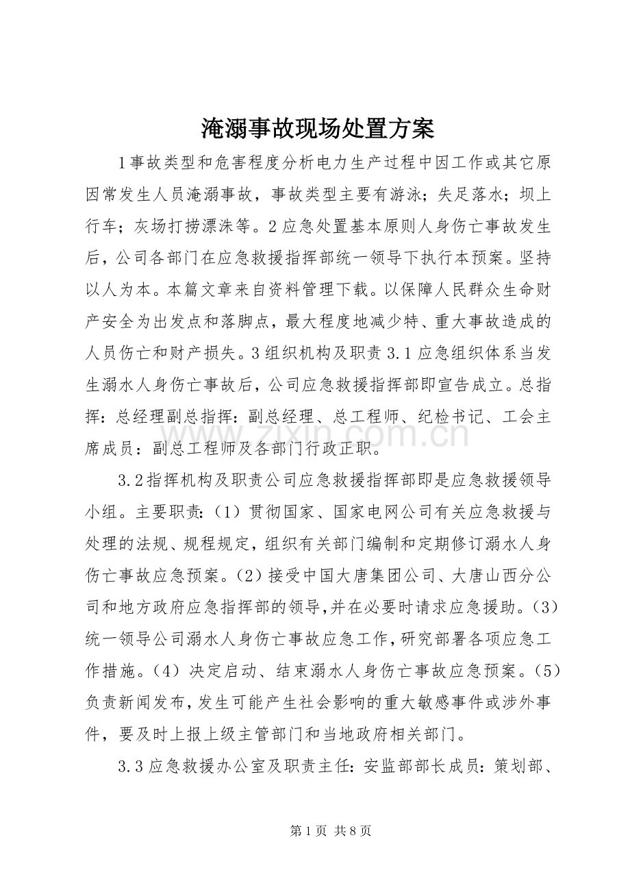 淹溺事故现场处置实施方案.docx_第1页