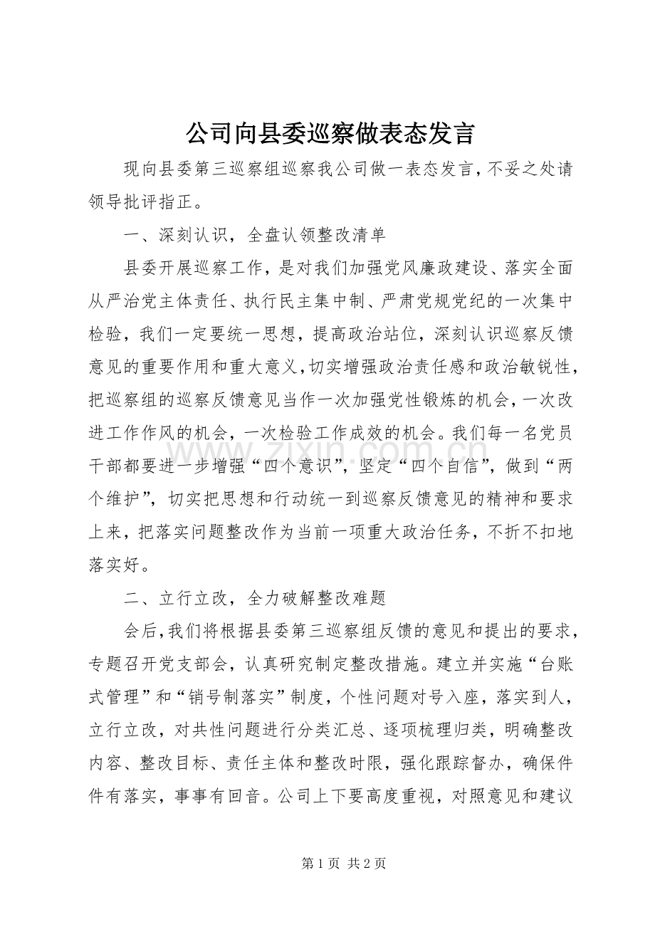 公司向县委巡察做表态发言.docx_第1页