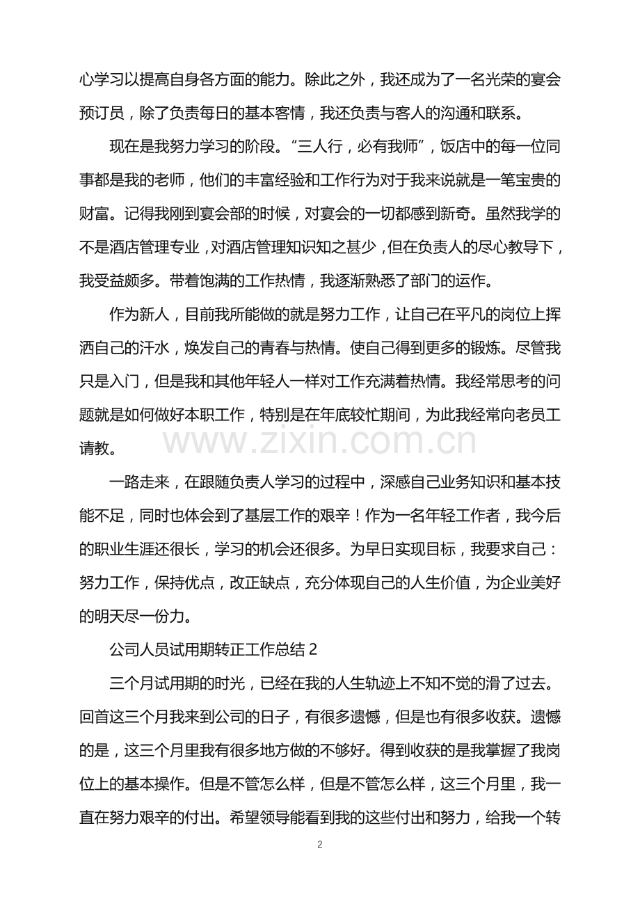 2022年公司人员试用期转正工作总结.doc_第2页