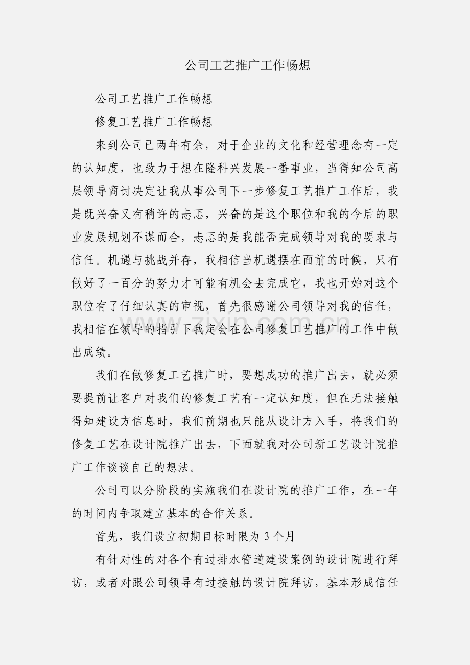 公司工艺推广工作畅想.docx_第1页