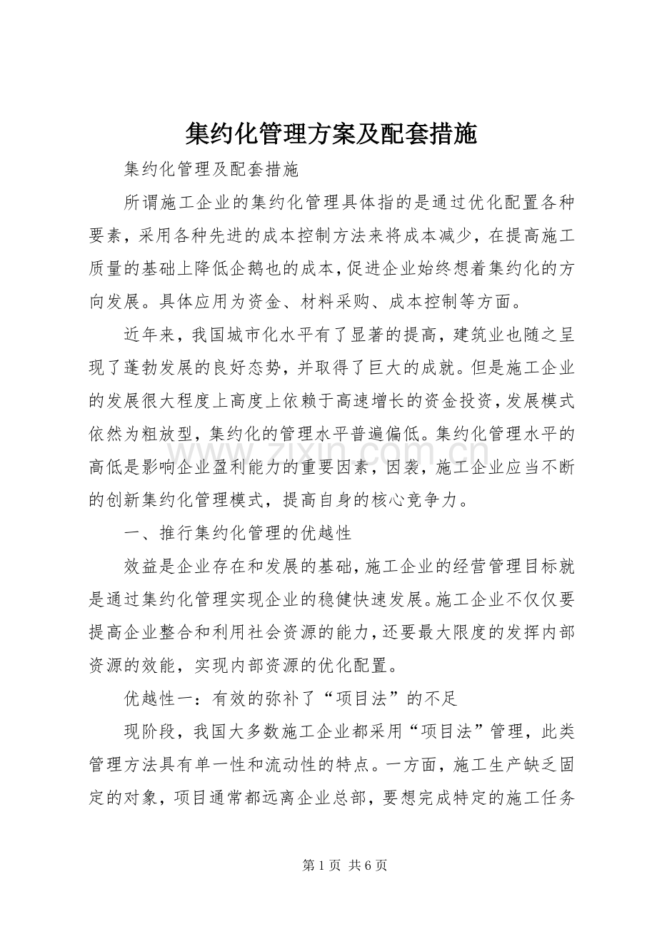 集约化管理实施方案及配套措施.docx_第1页