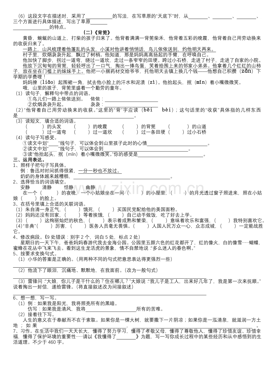 六上复习资料6.doc_第2页