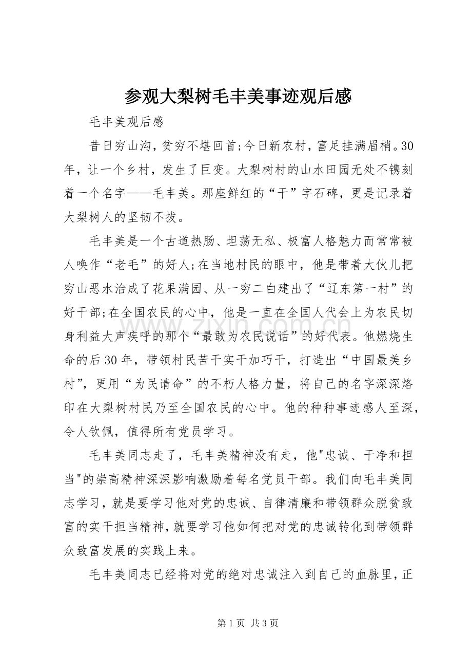 参观大梨树毛丰美事迹观后感(2).docx_第1页