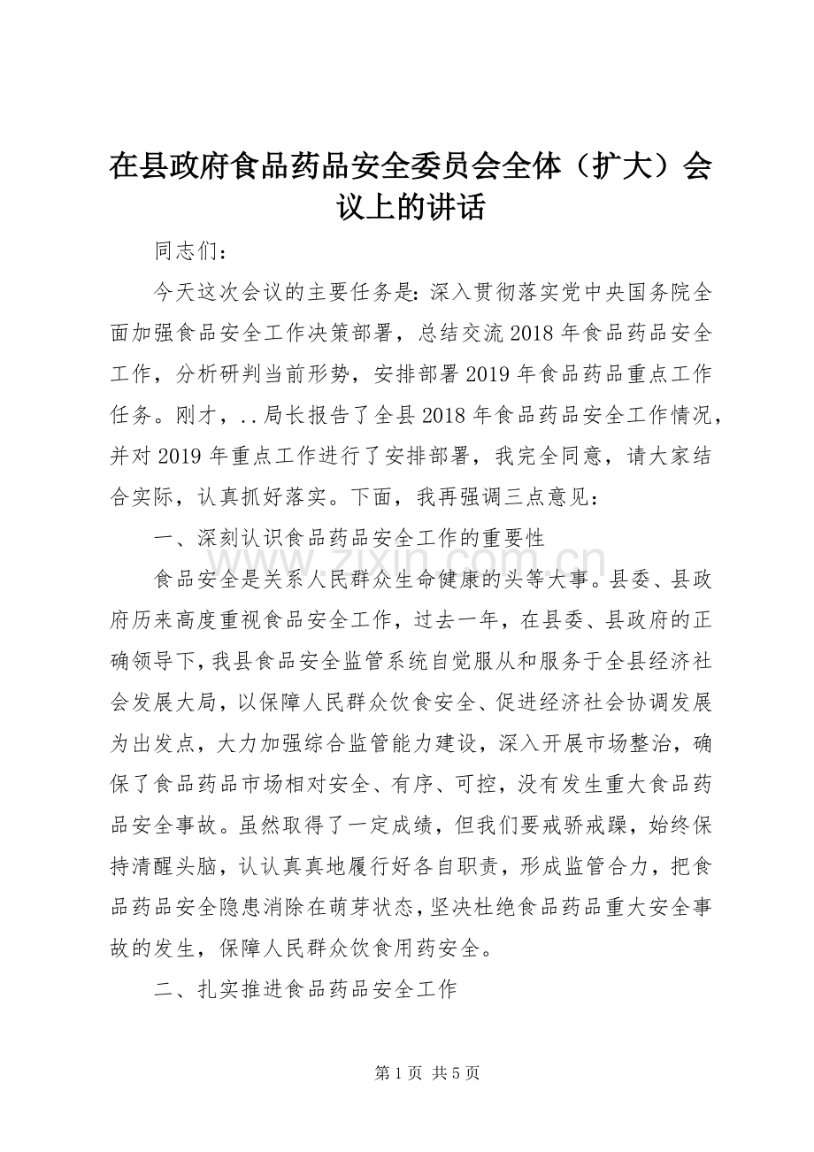 在县政府食品药品安全委员会全体（扩大）会议上的讲话.docx_第1页