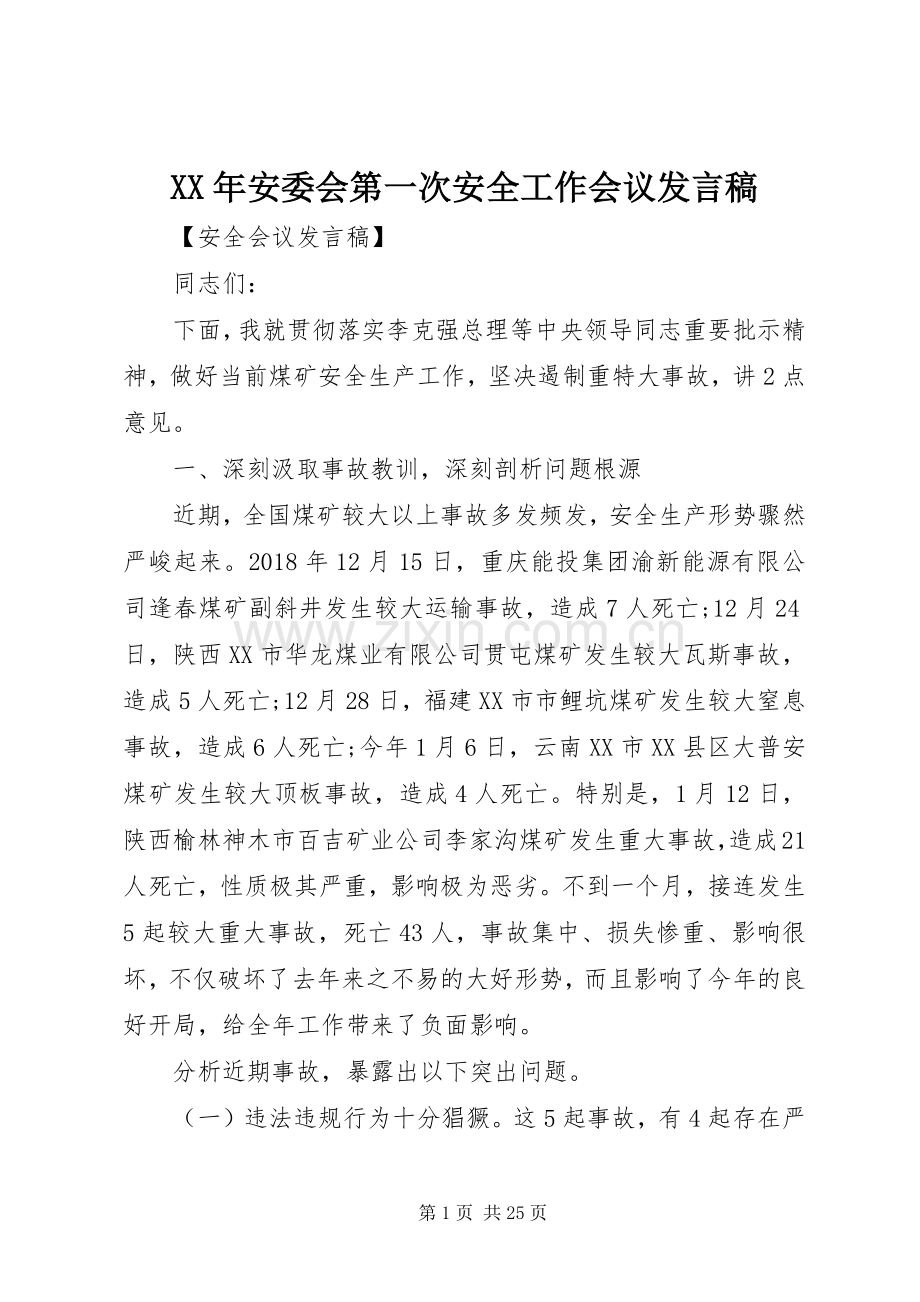 XX年安委会第一次安全工作会议发言.docx_第1页