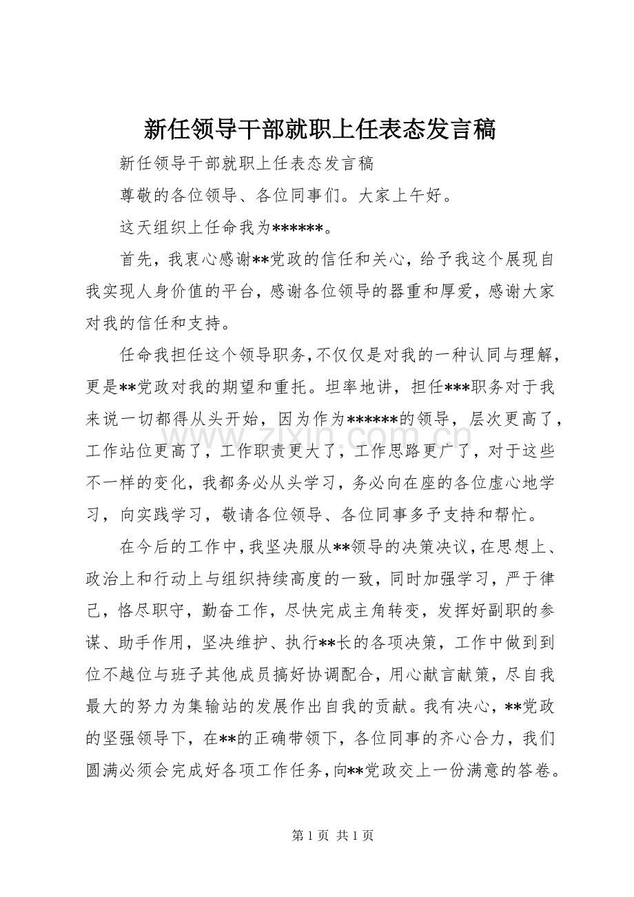 新任领导干部就职上任表态发言稿.docx_第1页