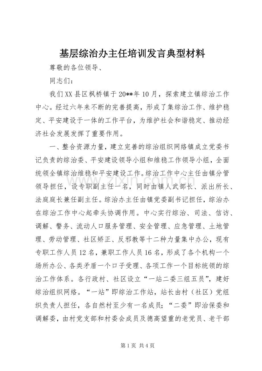 基层综治办主任培训发言典型材料.docx_第1页