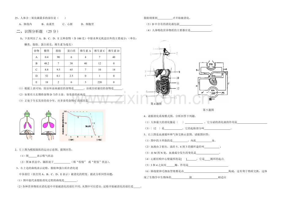 七年级生物期中考试题.doc_第2页