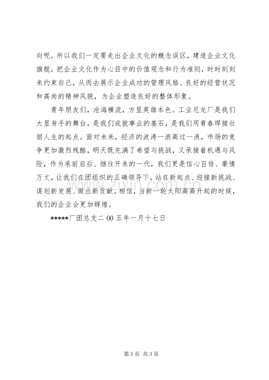 团总支【厂团总支新年倡议书】.docx_第3页